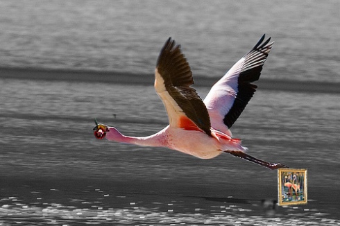 Base flamingo photo by szeke @ flickr